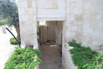 גלריית תמונות מסד